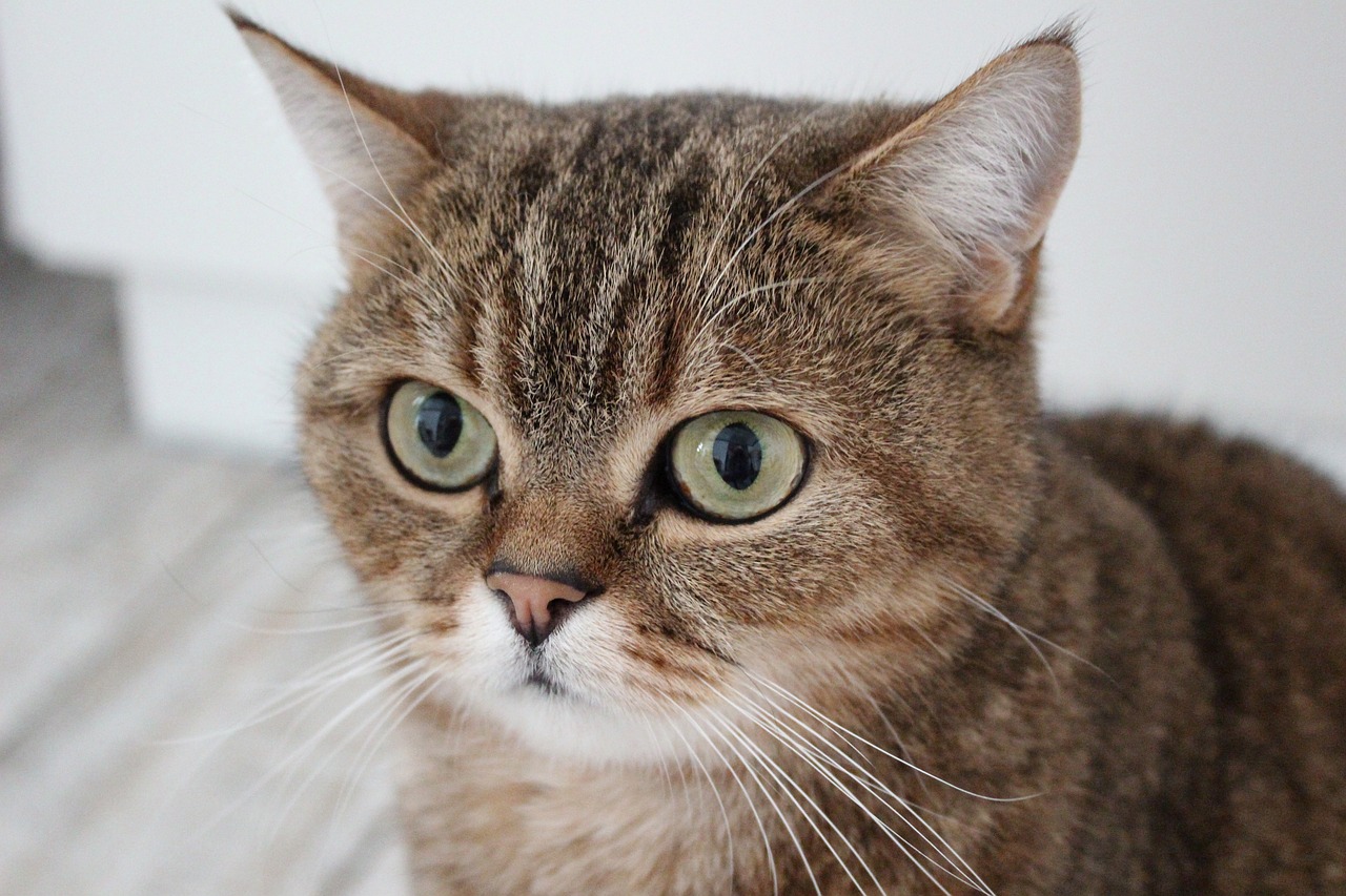 IT취업국비지원